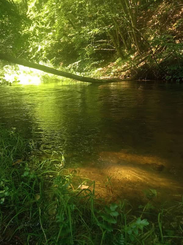 Radunia rzeka - Image 1