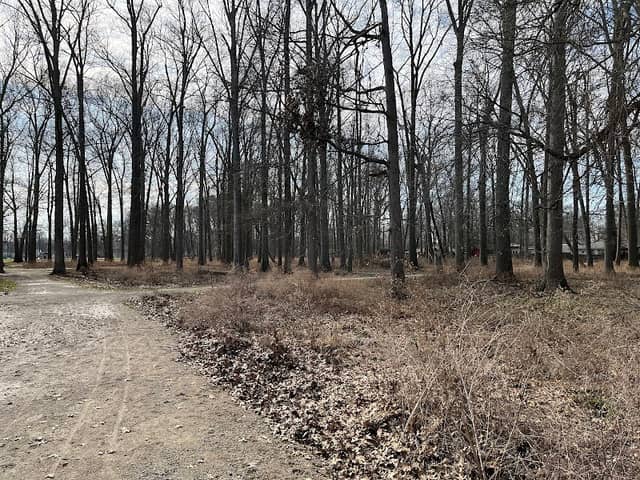 East Park - Image 2