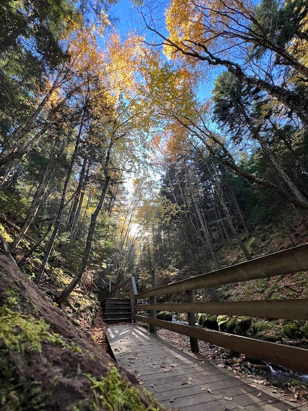 Dickson Falls Trailhead - Image 1