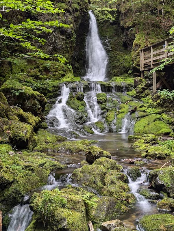Dickson Falls Trailhead - Image 3