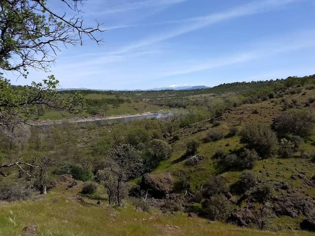 Sacramento River Bend Area - Image 1