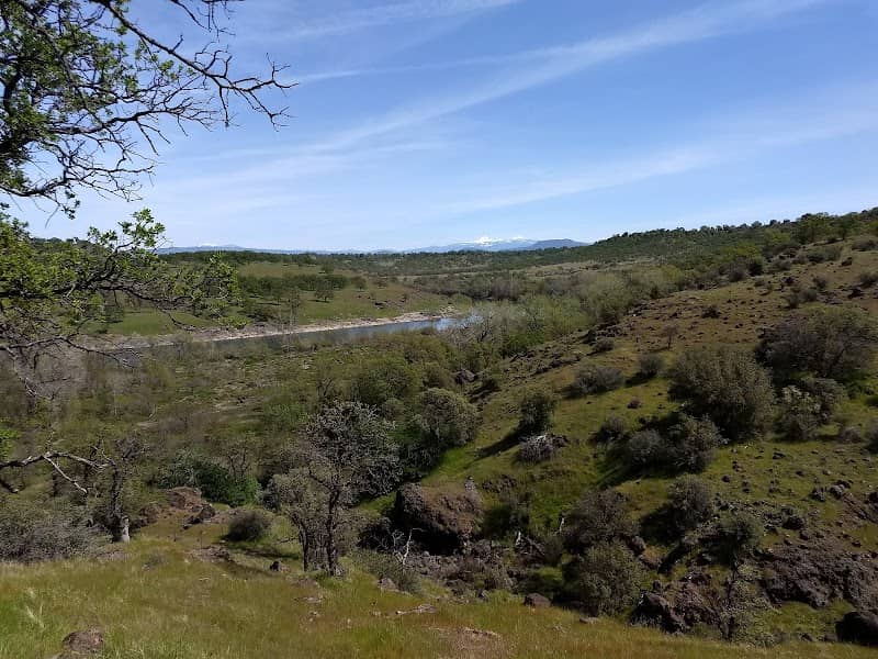 Sacramento River Bend Area - Image 1
