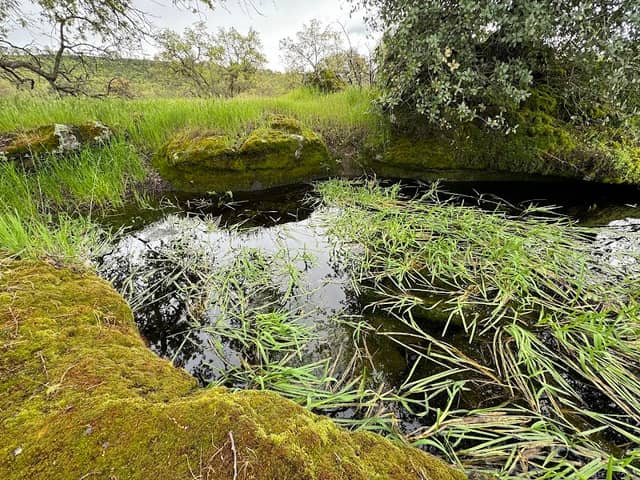 Sacramento River Bend Area - Image 2