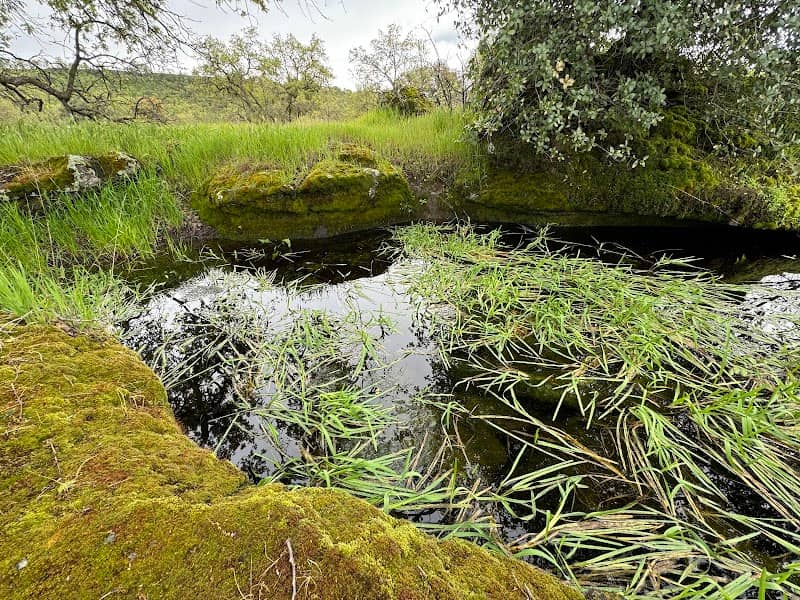 Sacramento River Bend Area - Image 2