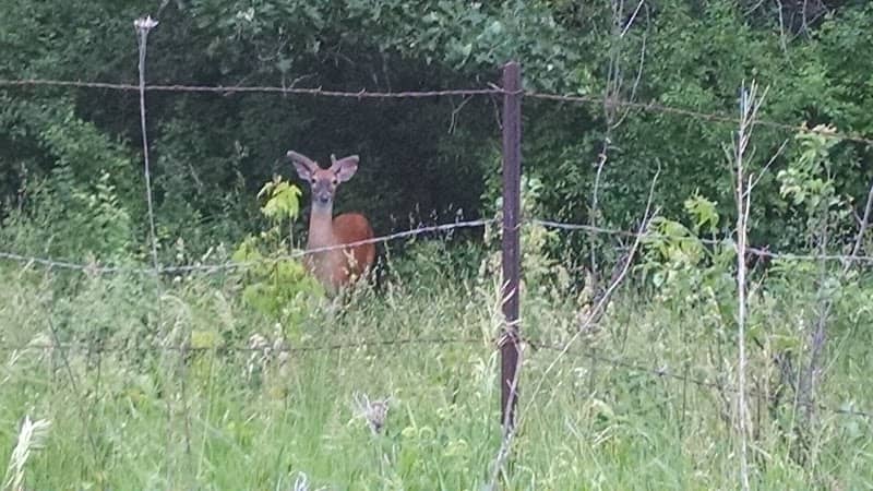 Driftless Area National Wildlife Refuge - Image 2
