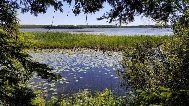 Kangaroo Lake Nature Preserve - Image 2