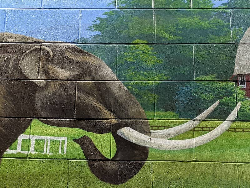 Mastodon mural by Andy Eccleshall - Image 1