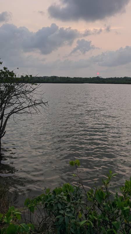 Onathaan River - Image 1
