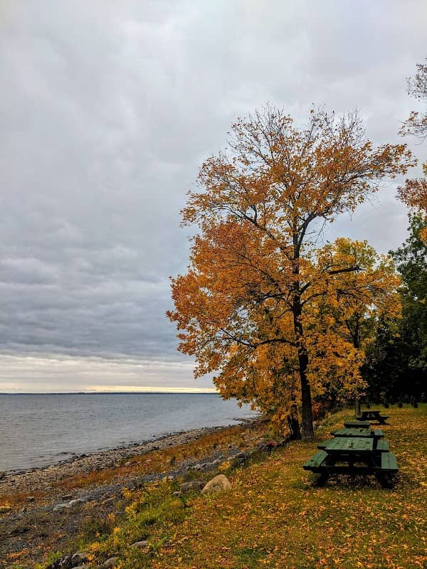 Cohen Park - Image 2