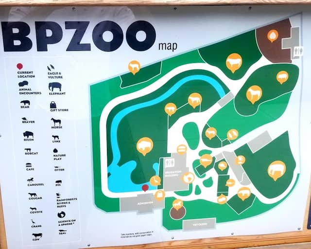 Buttonwood Park Zoo - Image 2
