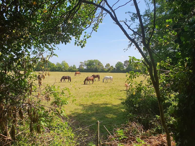 Bury Hill - Image 3
