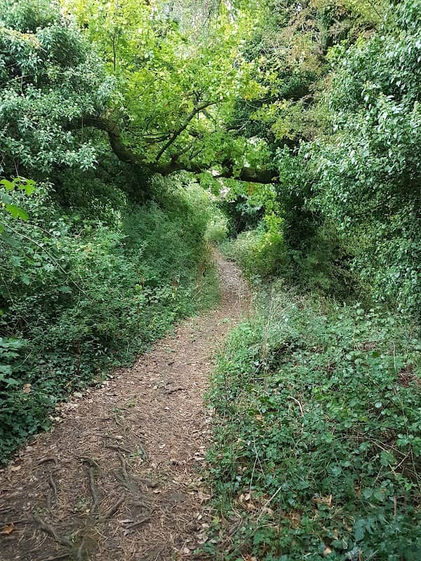 Bury Hill - Image 2
