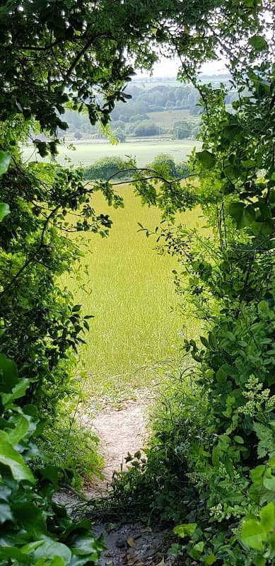 Bury Hill - Image 1