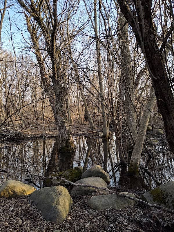 Island Preserve - Image 2