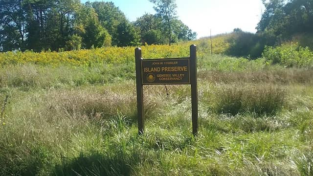 Island Preserve - Image 1