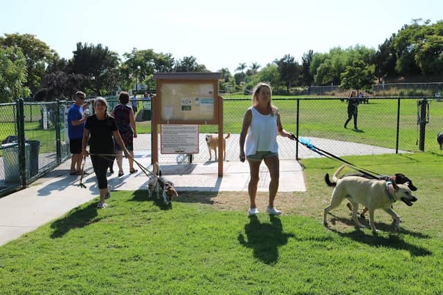 Springville Dog Park - Image 1