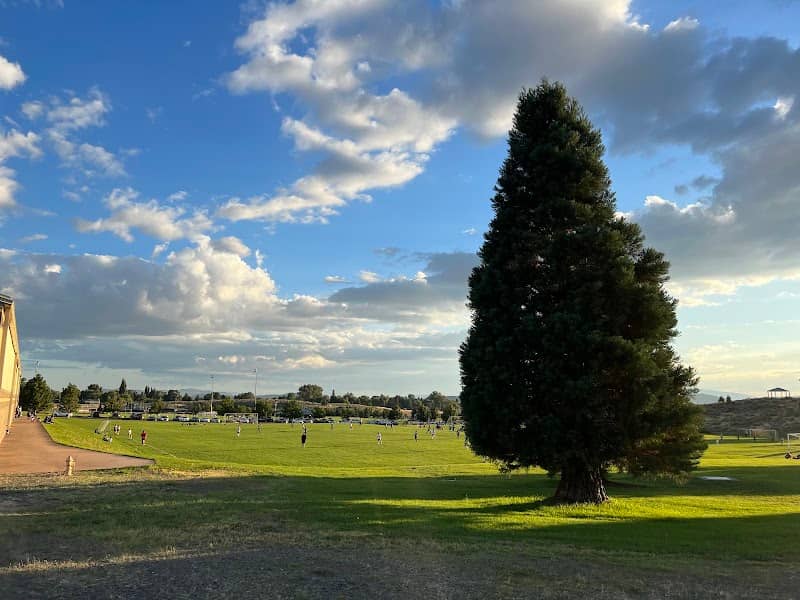 Steens Baseball ️ fields & pickle ball courts (tennis ) - Image 1