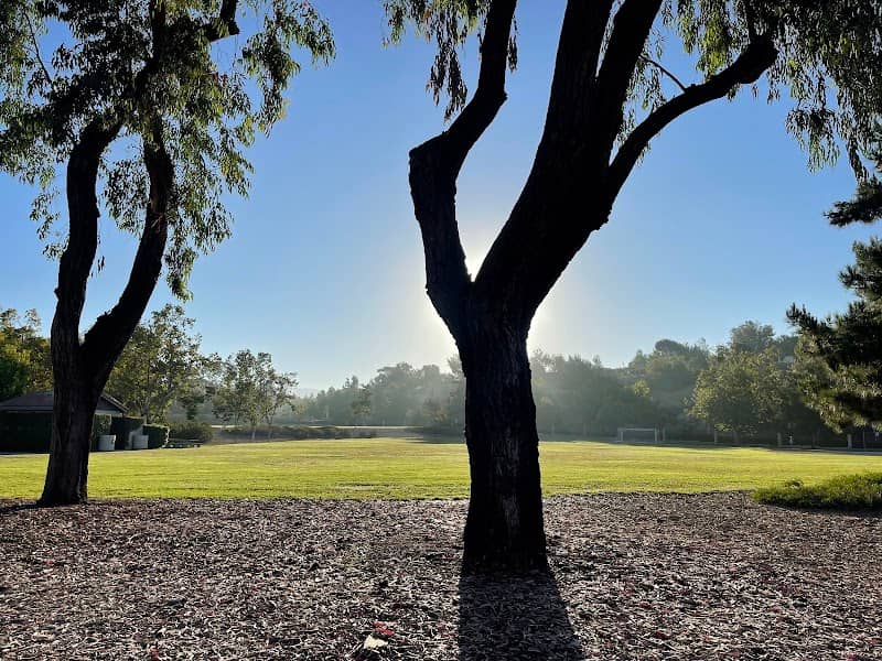 Campus Canyon Park - Image 4