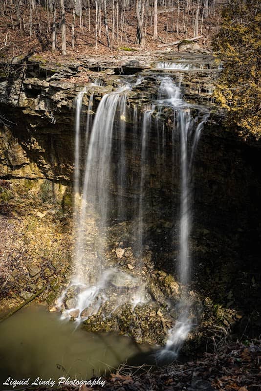 Charleston Falls Preserve - Image 2