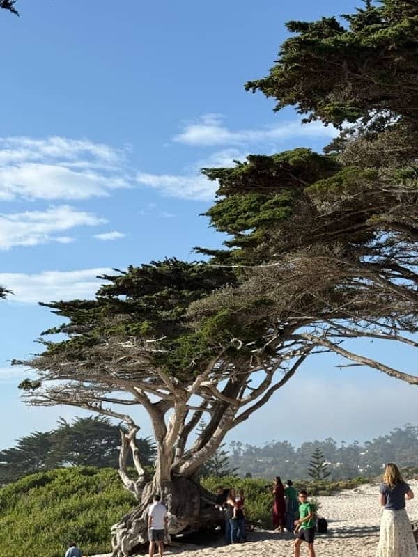 Carmel Sunset Beach Viewpoint - Image 3