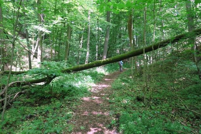 Kaditzscher Schweiz - Image 2