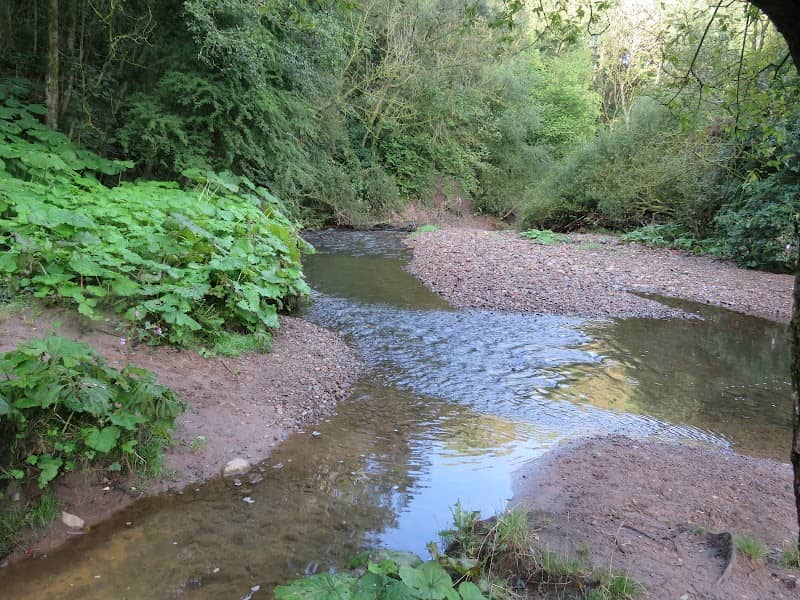 Daisy Nook Country Park - Image 1