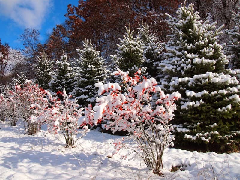 Paradise Hill Nature Preserve - Image 2