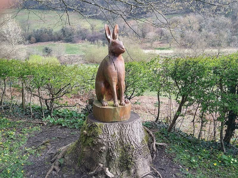 Tintern park - Image 3