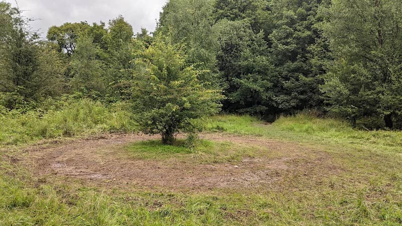 Blythswood Woods - Image 1