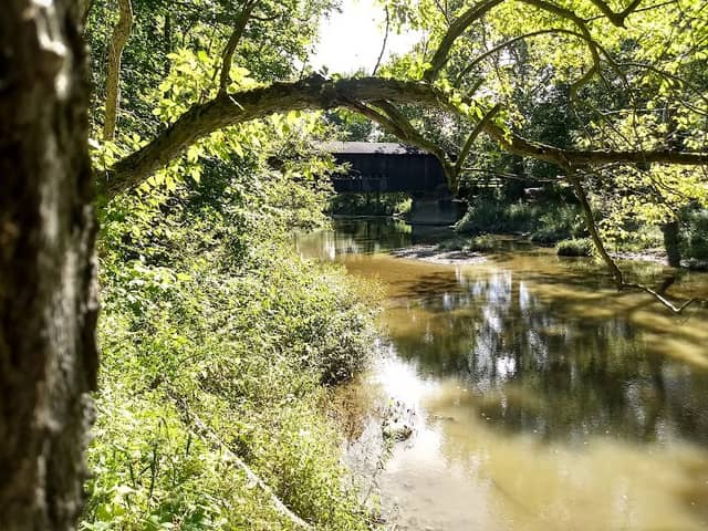 Historic Benetka Road Covered Bridge - Image 2