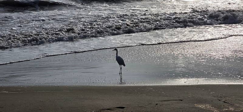 Bates Beach - Image 2