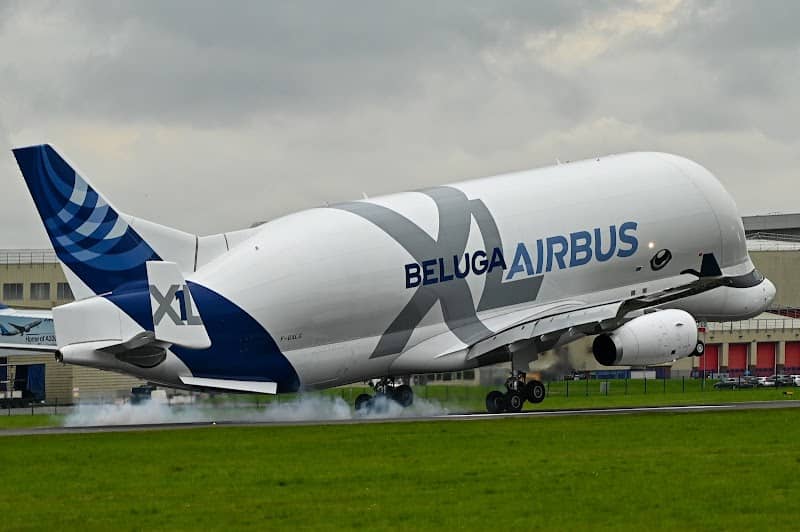 BELUGA BANK - Image 1