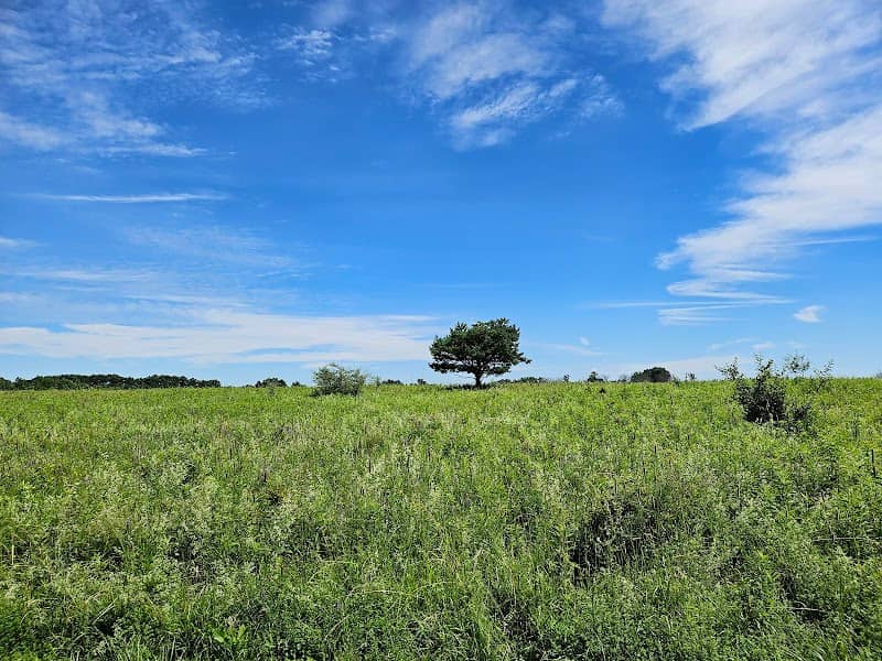 Lynde Shores Conservation Area - Image 2