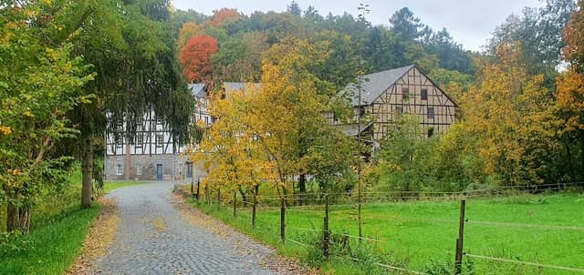 Die Finstermühle - Image 1