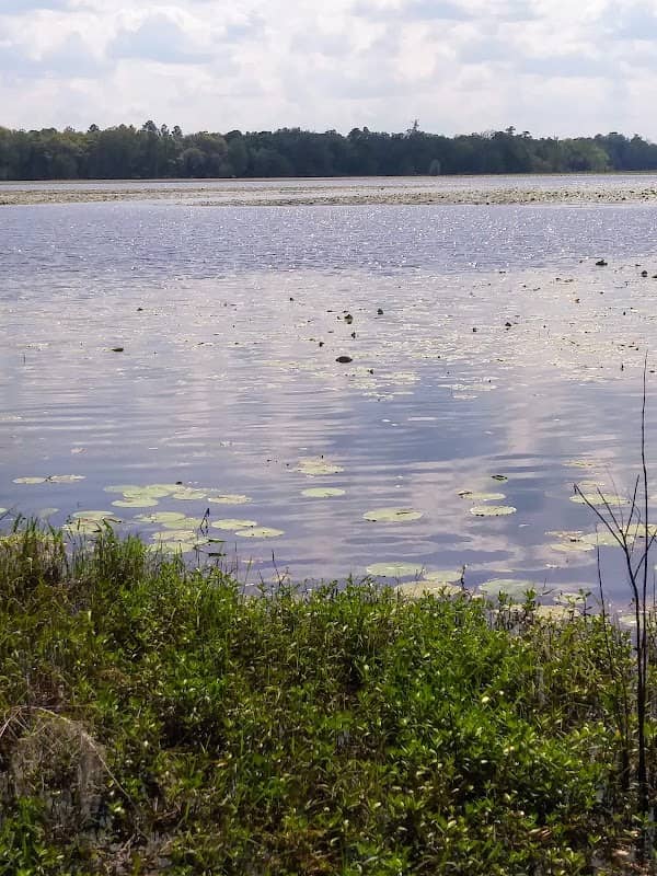 Kate Ireland Park - Image 1