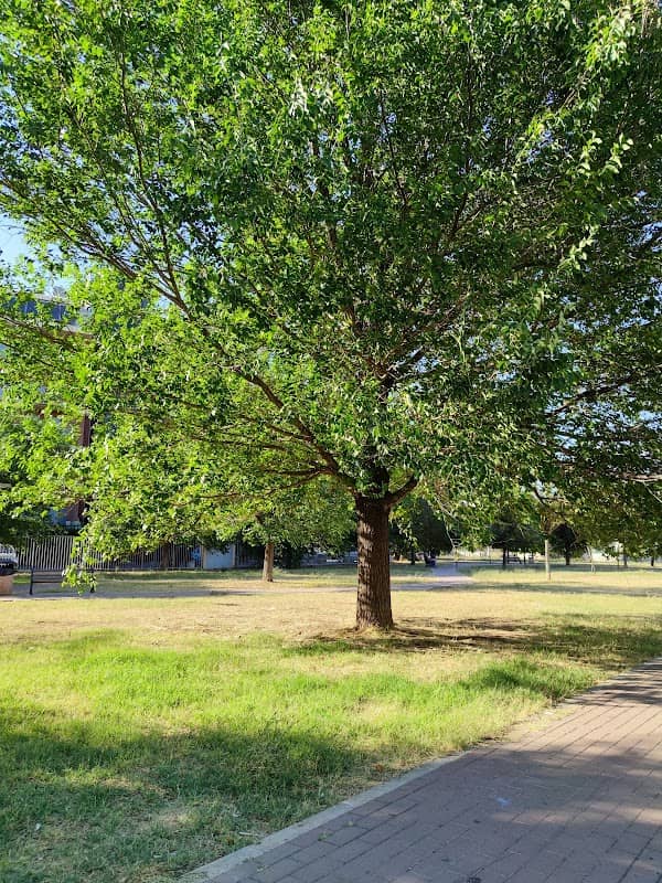 Green Village Park - Image 1