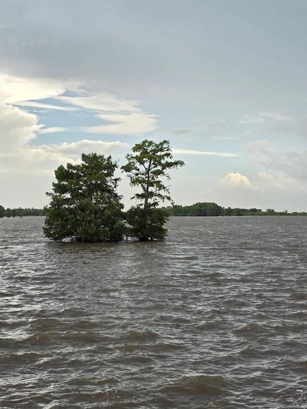 Unit B, Fishing Pier - Image 1