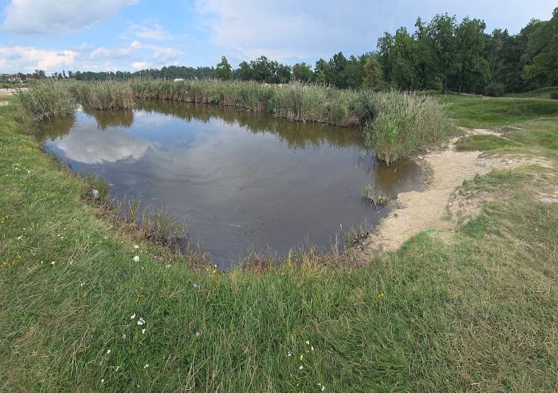 Lacul Bătrânescu - Image 2