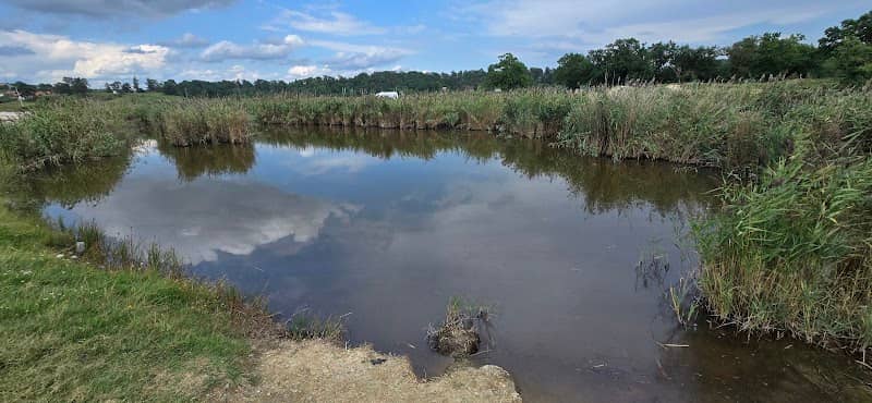 Lacul Bătrânescu - Image 1