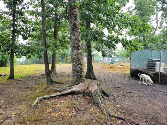 Beverly Dog Park - Image 2