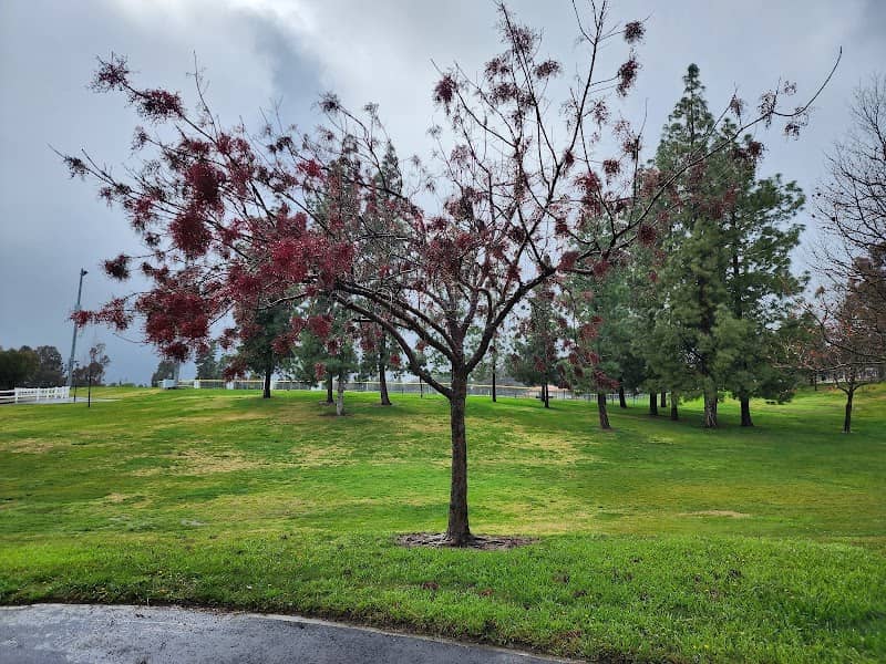 Heritage Community Park - Image 4