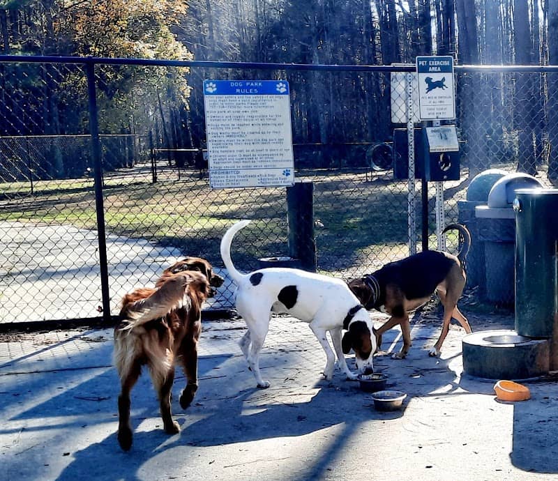 Lake Meade Dog Park - Image 1
