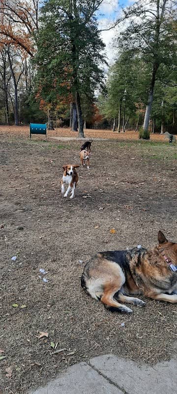 Lake Meade Dog Park - Image 2