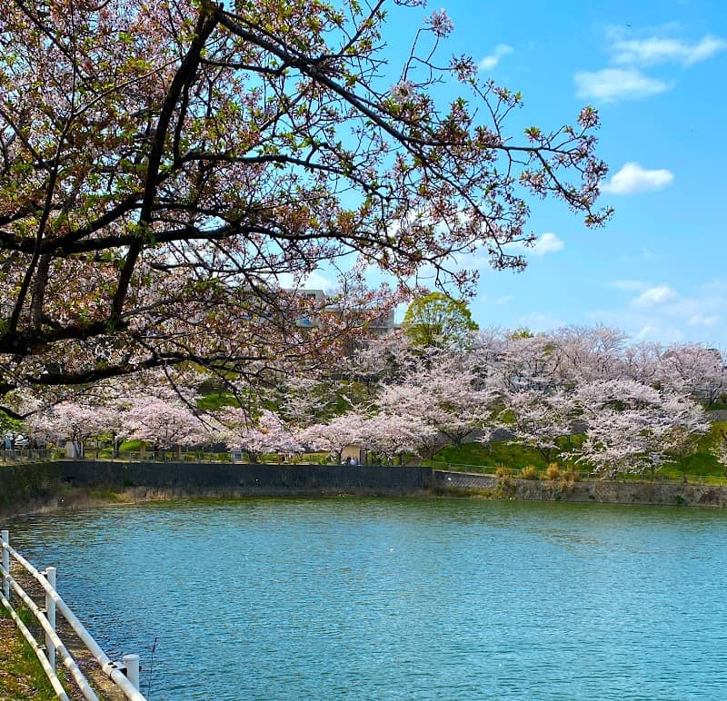 Nakatomiikesakura Park - Image 1