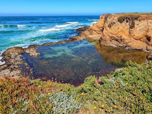 Pudding Creek Beach - Image 1