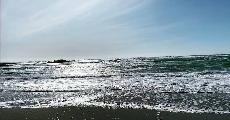 Pudding Creek Beach - Image 3