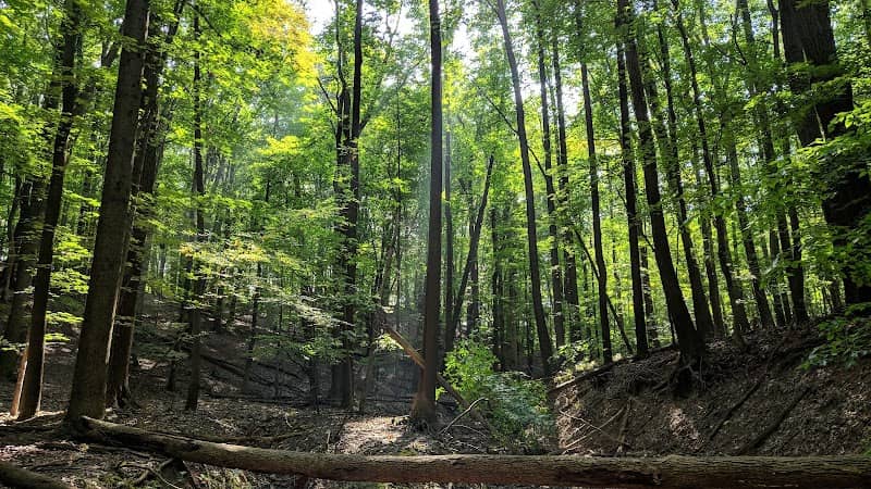 Cleveland Metroparks - Image 2