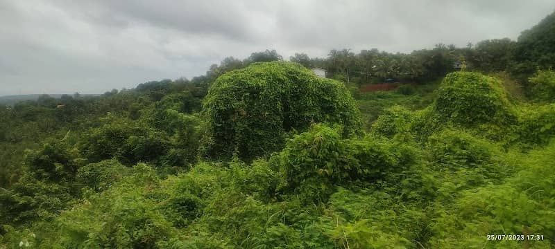 Chappangadi View Point - Image 1