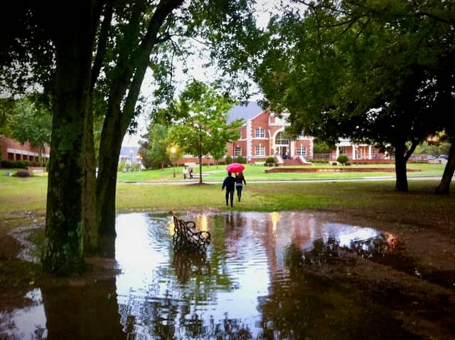 Alumni Park - Image 2