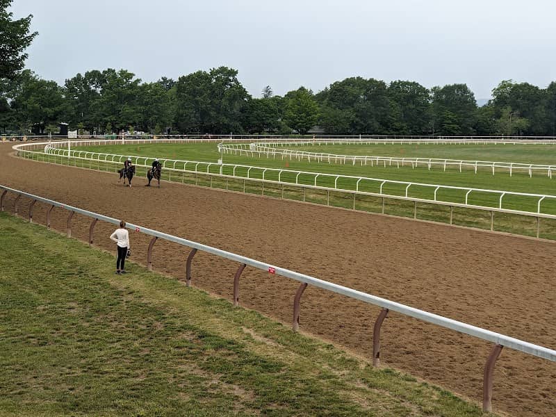Whitney Viewing Stand - Image 2